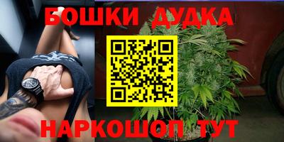 соль ск Сланцы