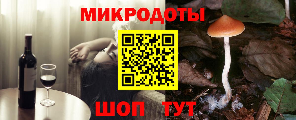 Галлюциногенные грибы Cubensis Обь